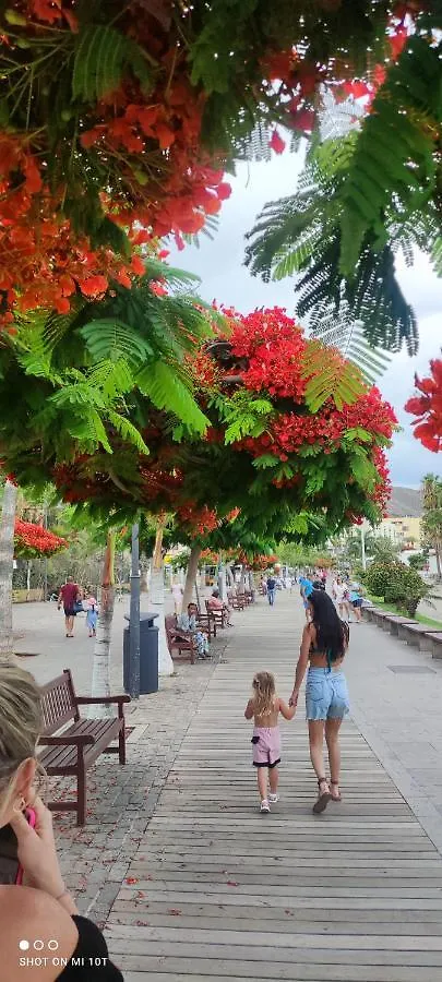 The Heights 2 Bedroom Apartment Los Cristianos  0*, Los Cristianos (Tenerife)