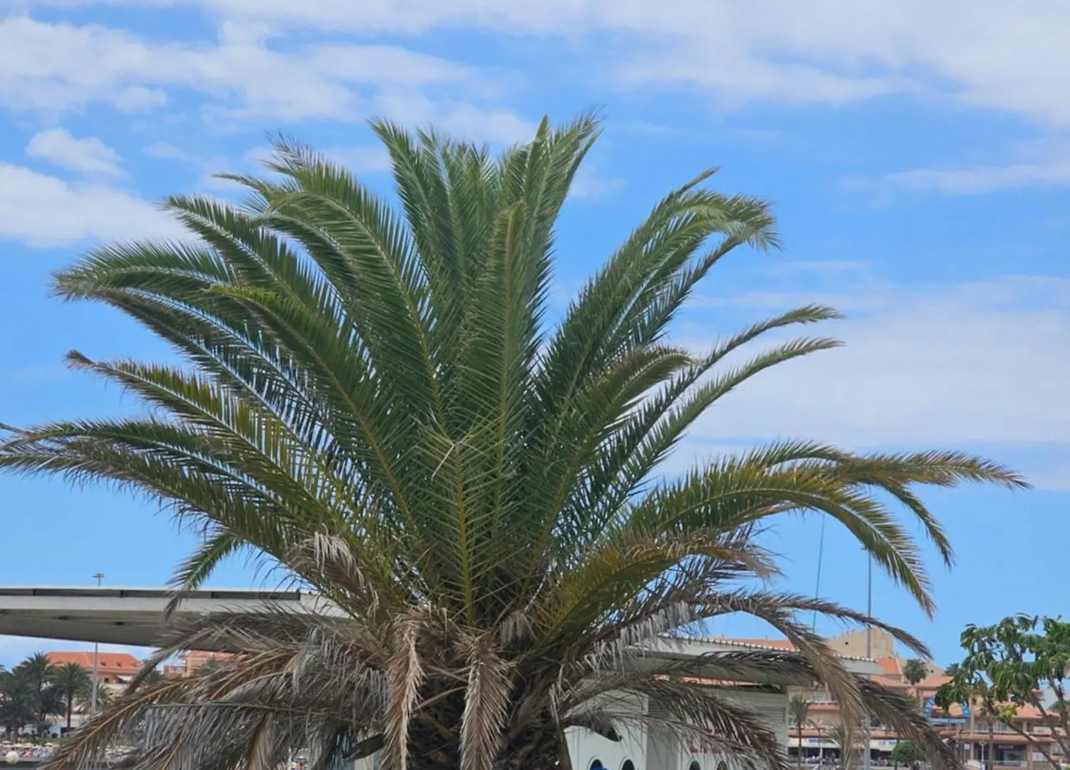 The Heights 2 Bedroom Apartment Los Cristianos