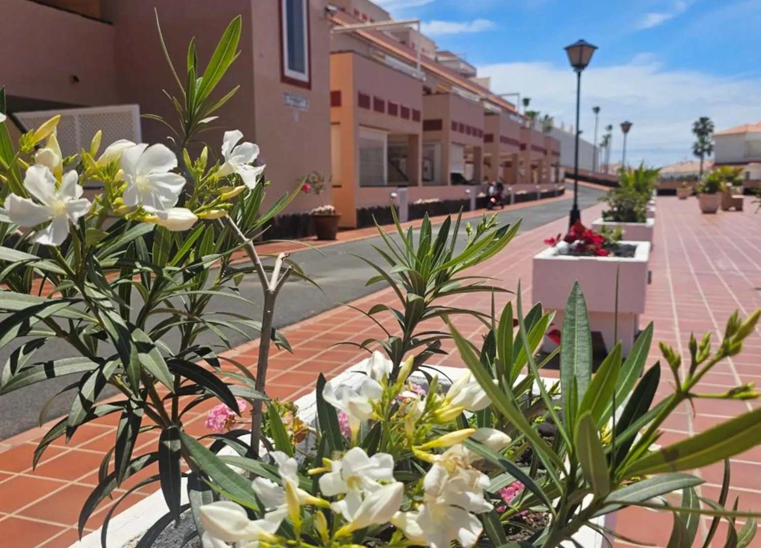 The Heights 2 Bedroom Apartment Los Cristianos   Los Cristianos (Tenerife)